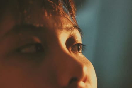 Search result from a filmmaker's library